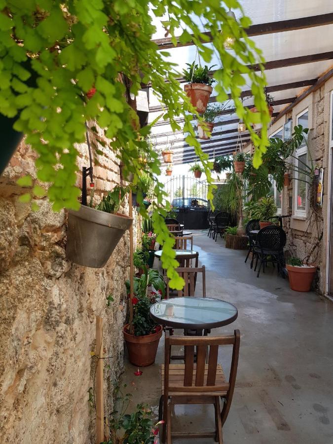 Garden Place Alojamento Local Viseu Eksteriør billede